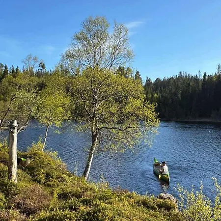 Cozy Lakeside In Trondelag *