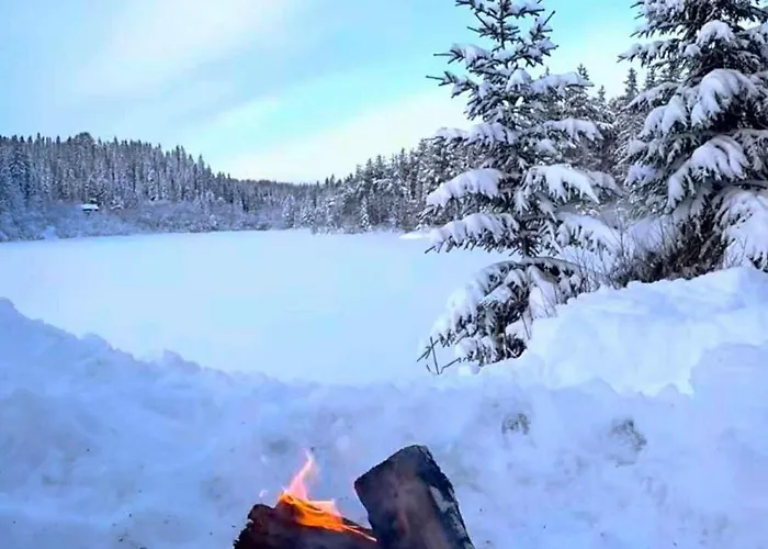 Cozy Lakeside In Trondelag